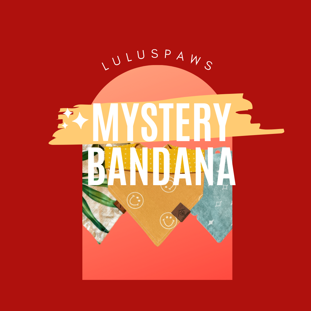 Mystery Bandana!